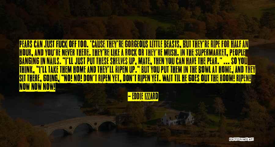 Room Mate Quotes By Eddie Izzard Room Mate Quotes By Eddie Izzard
