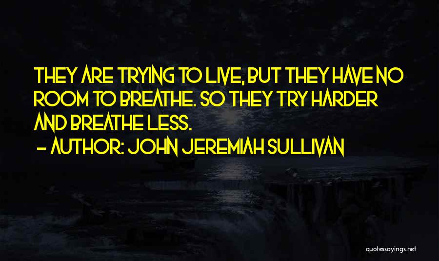 Room To Breathe Quotes By John Jeremiah Sullivan