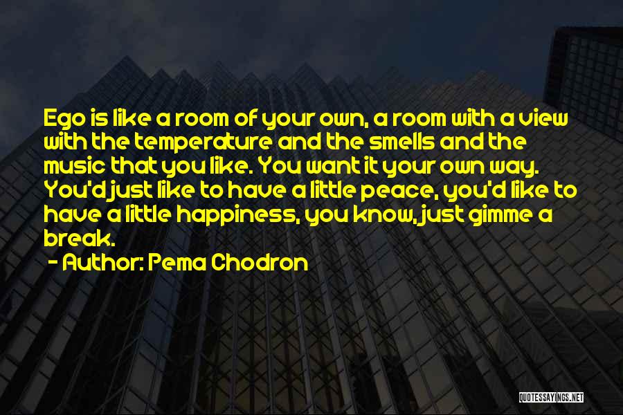 Room With A View Quotes By Pema Chodron