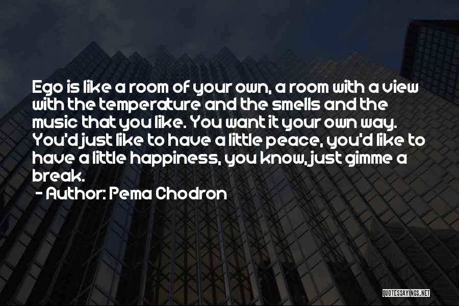 Room With View Quotes By Pema Chodron