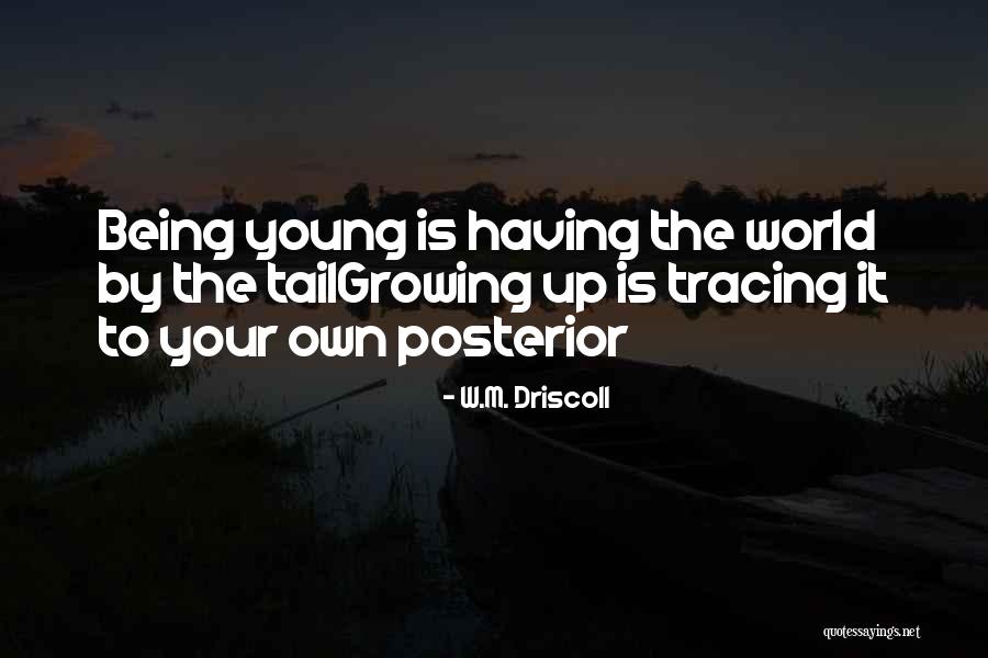 Rooof Top Quotes By W.M. Driscoll Rooof Top Quotes By W.M. Driscoll