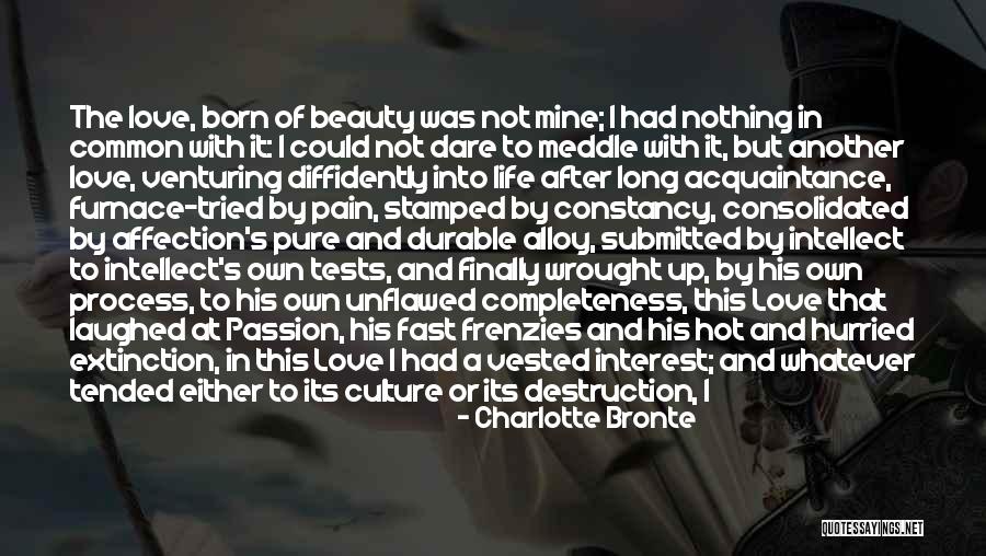 Roosevelt Hotel Quotes By Charlotte Bronte Roosevelt Hotel Quotes By Charlotte Bronte
