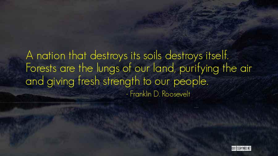 Roosevelt Quotes By Franklin D. Roosevelt