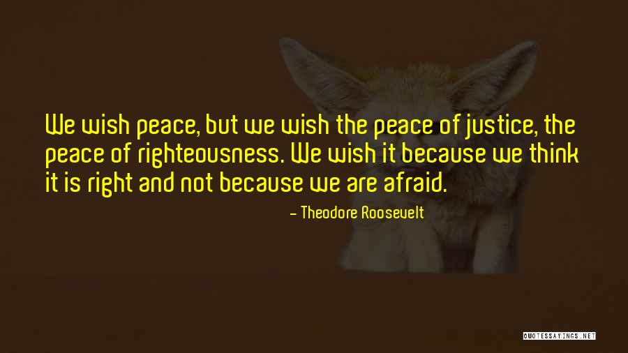 Roosevelt Quotes By Theodore Roosevelt