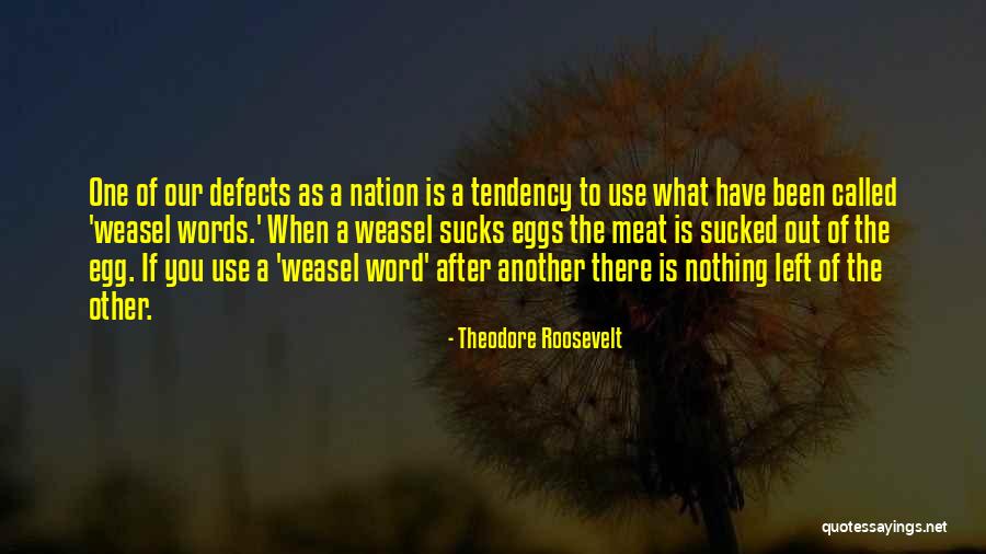 Roosevelt Quotes By Theodore Roosevelt