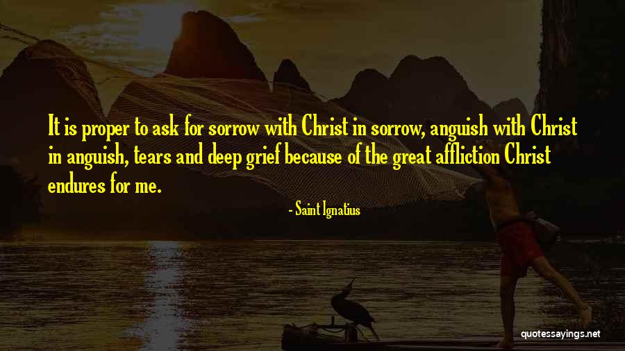 Roosh Valizadeh Quotes By Saint Ignatius Roosh Valizadeh Quotes By Saint Ignatius