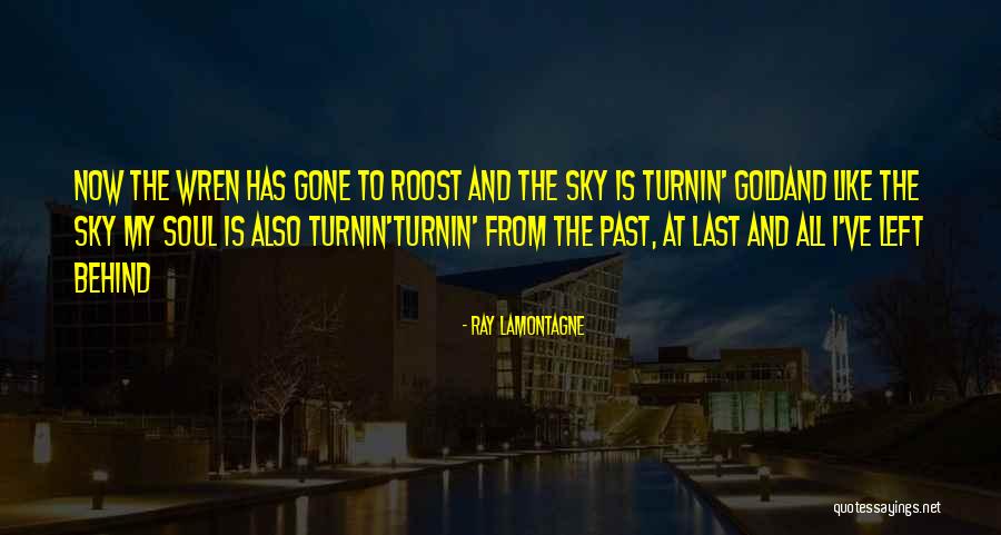 Roost Quotes By Ray Lamontagne Roost Quotes By Ray Lamontagne