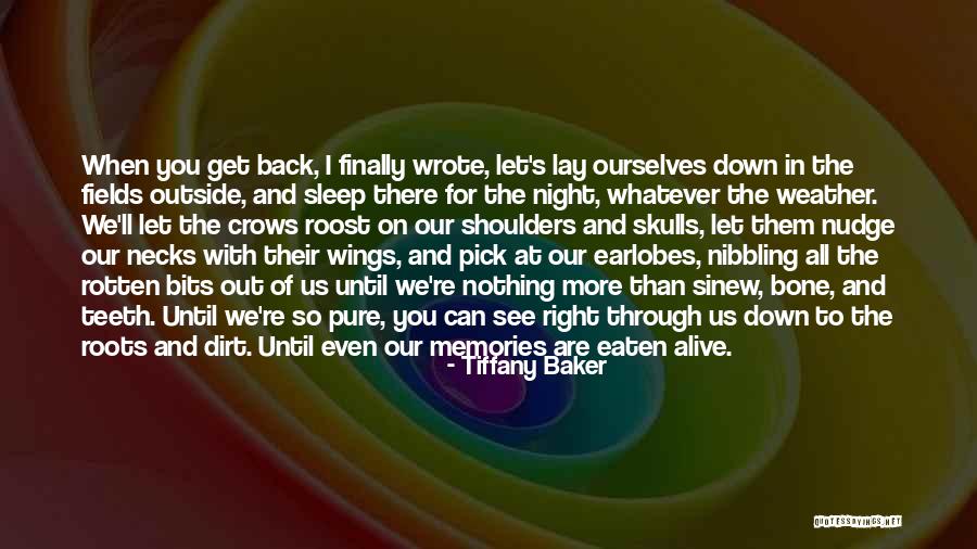 Roost Quotes By Tiffany Baker Roost Quotes By Tiffany Baker