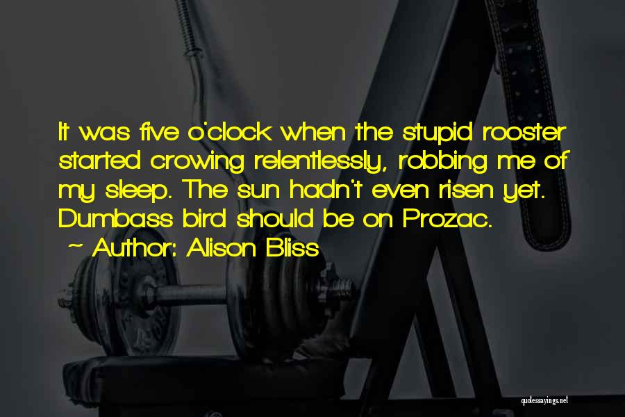 Rooster Quotes By Alison Bliss