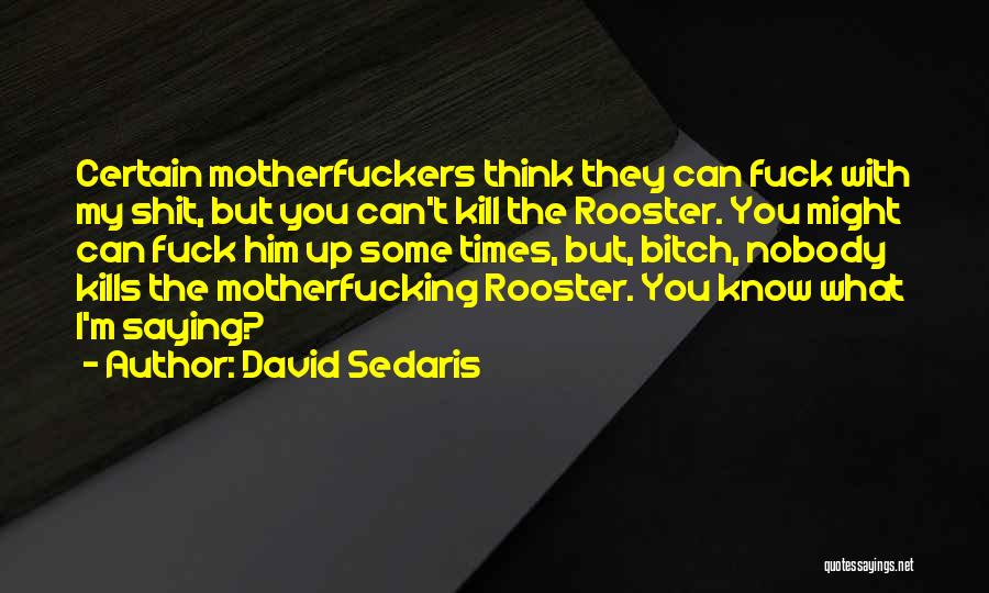 Rooster Quotes By David Sedaris