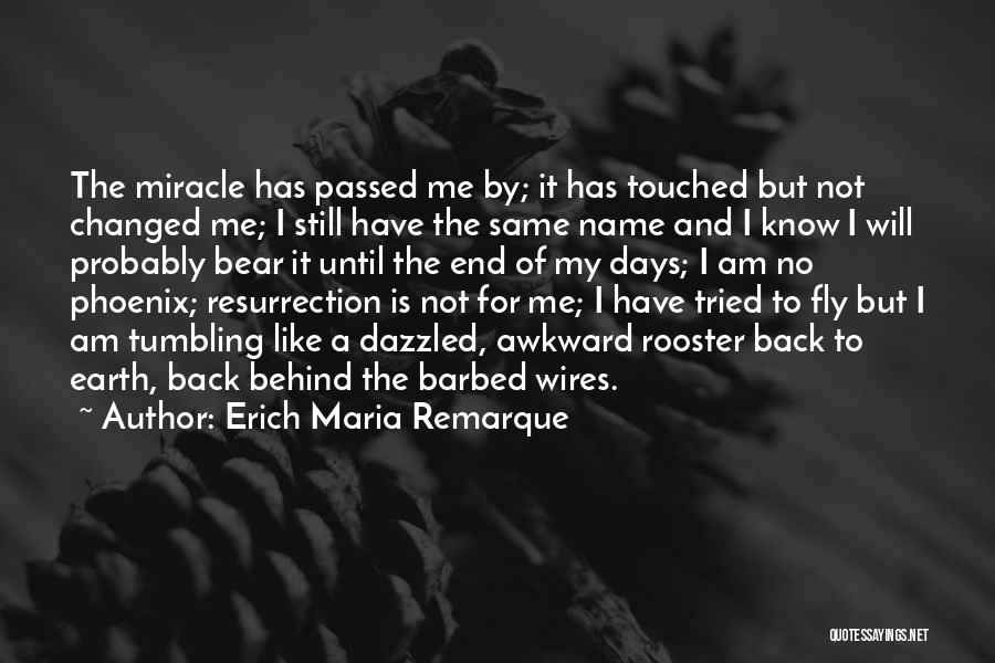 Rooster Quotes By Erich Maria Remarque