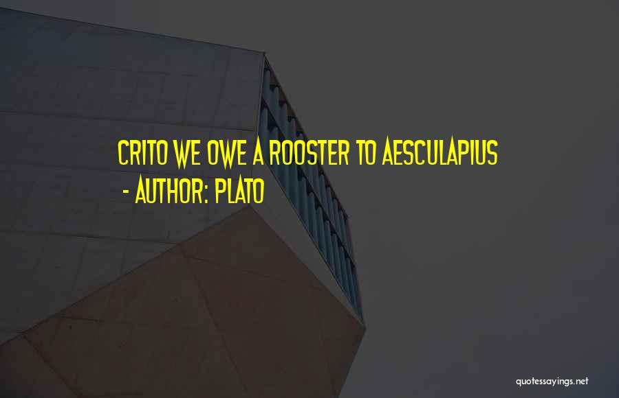 Rooster Quotes By Plato