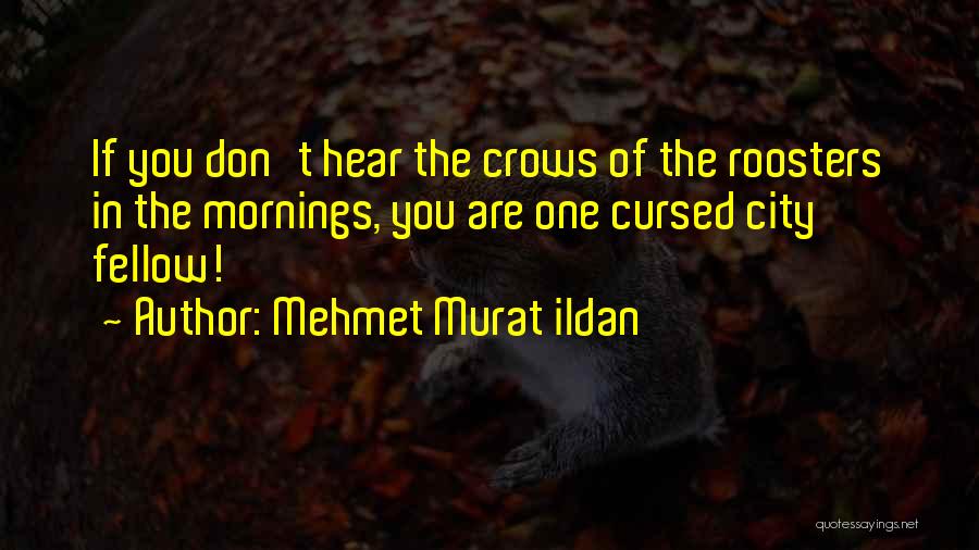 Roosters Quotes By Mehmet Murat Ildan