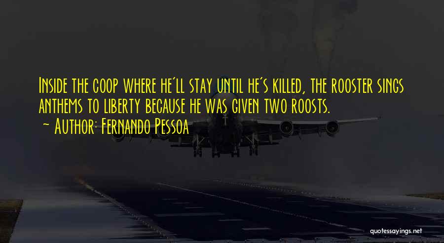 Roosts 7 Quotes By Fernando Pessoa