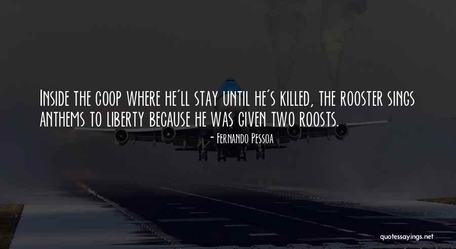 Roosts Quotes By Fernando Pessoa Roosts Quotes By Fernando Pessoa