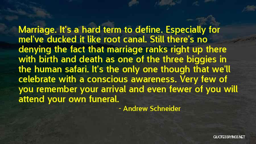 Root Canal Quotes By Andrew Schneider Root Canal Quotes By Andrew Schneider
