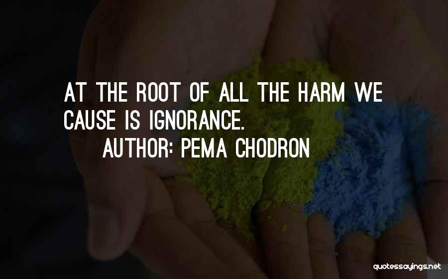 Root Cause Quotes By Pema Chodron