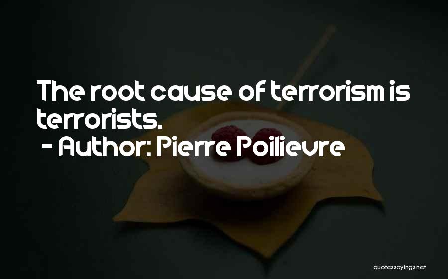Root Cause Quotes By Pierre Poilievre