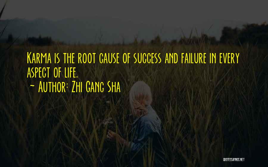 Root Cause Quotes By Zhi Gang Sha