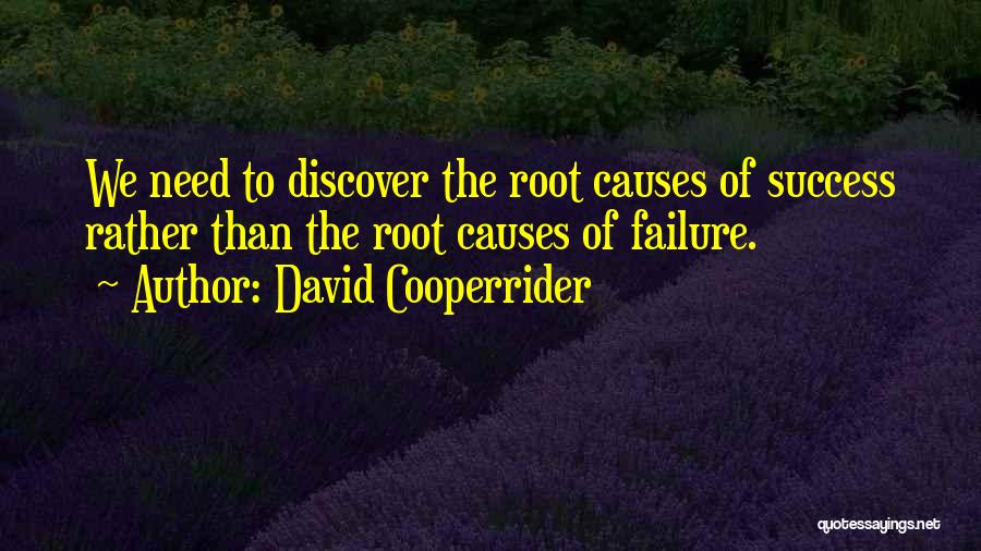 Root Causes Quotes By David Cooperrider