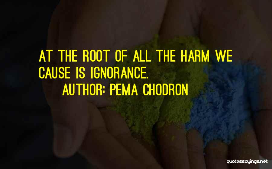 Root Causes Quotes By Pema Chodron