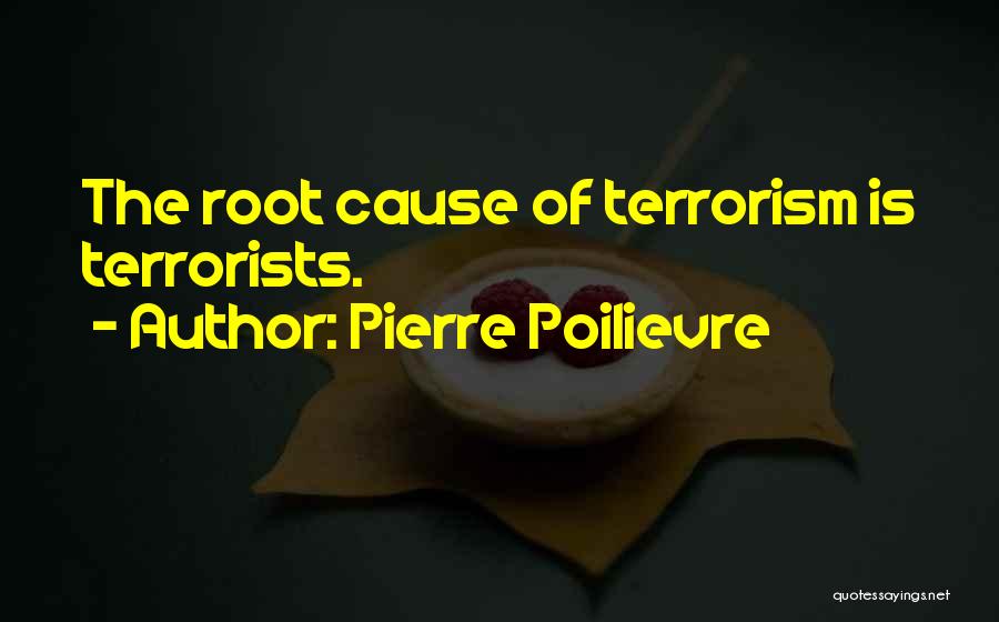 Root Causes Quotes By Pierre Poilievre