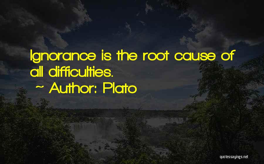 Root Causes Quotes By Plato