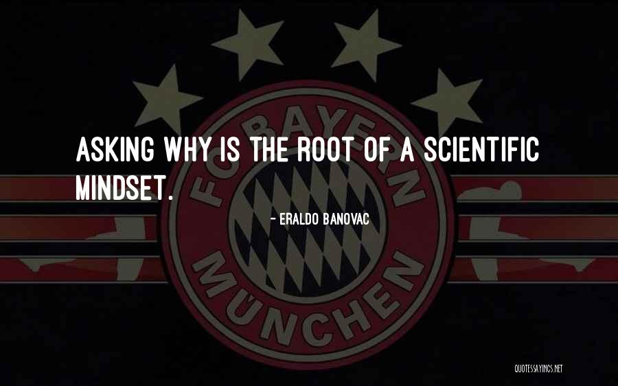 Root Quotes Quotes By Eraldo Banovac Root Quotes Quotes By Eraldo Banovac
