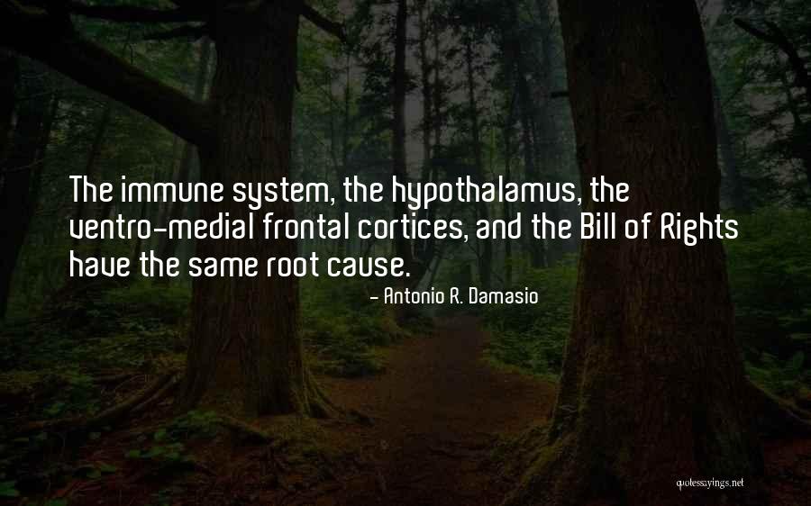 Root System Quotes By Antonio R. Damasio Root System Quotes By Antonio R. Damasio