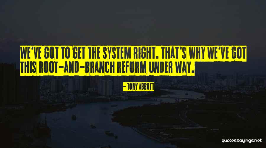 Root System Quotes By Tony Abbott Root System Quotes By Tony Abbott