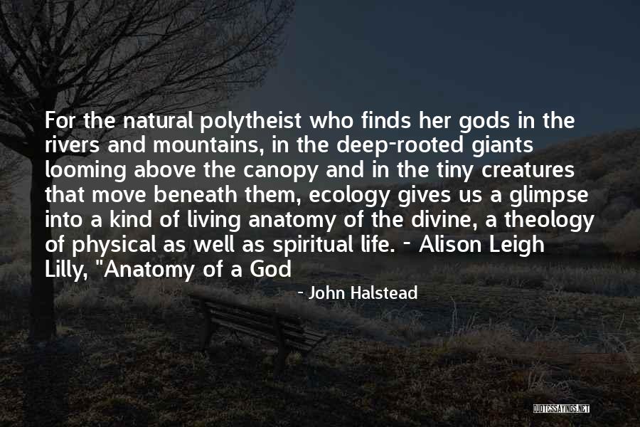 Rooted In God Quotes By John Halstead