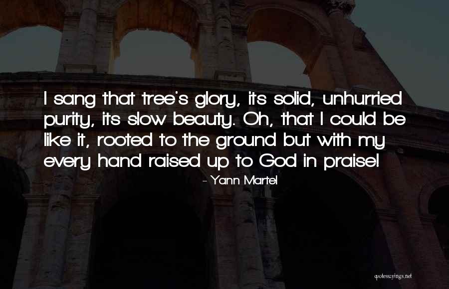 Rooted In God Quotes By Yann Martel