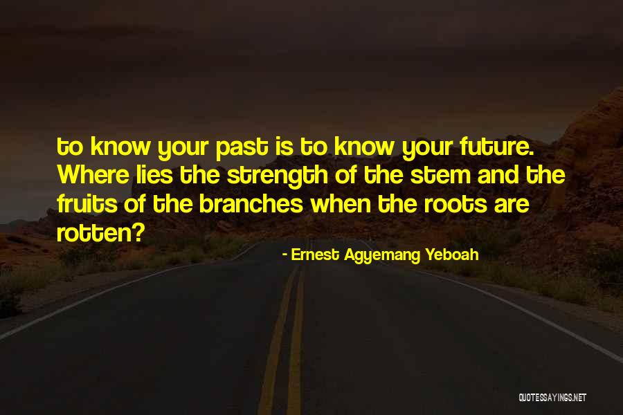 Roots And Fruits Quotes By Ernest Agyemang Yeboah Roots And Fruits Quotes By Ernest Agyemang Yeboah