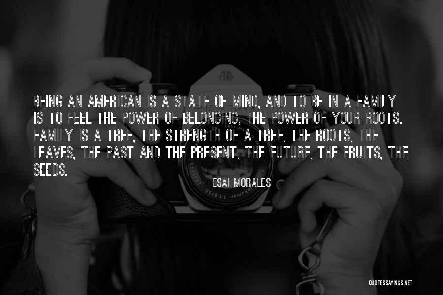 Roots And Fruits Quotes By Esai Morales Roots And Fruits Quotes By Esai Morales