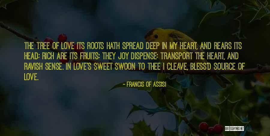 Roots And Fruits Quotes By Francis Of Assisi Roots And Fruits Quotes By Francis Of Assisi