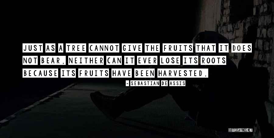 Roots And Fruits Quotes By Sebastian De Assis Roots And Fruits Quotes By Sebastian De Assis