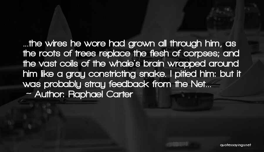 Roots And Trees Quotes By Raphael Carter