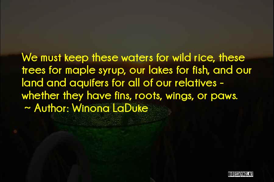 Roots And Trees Quotes By Winona LaDuke