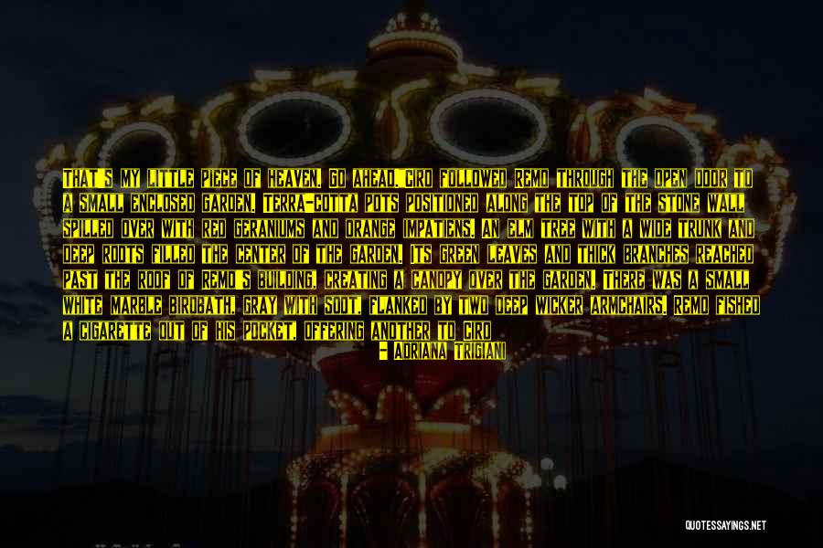 Roots Branches Quotes By Adriana Trigiani Roots Branches Quotes By Adriana Trigiani