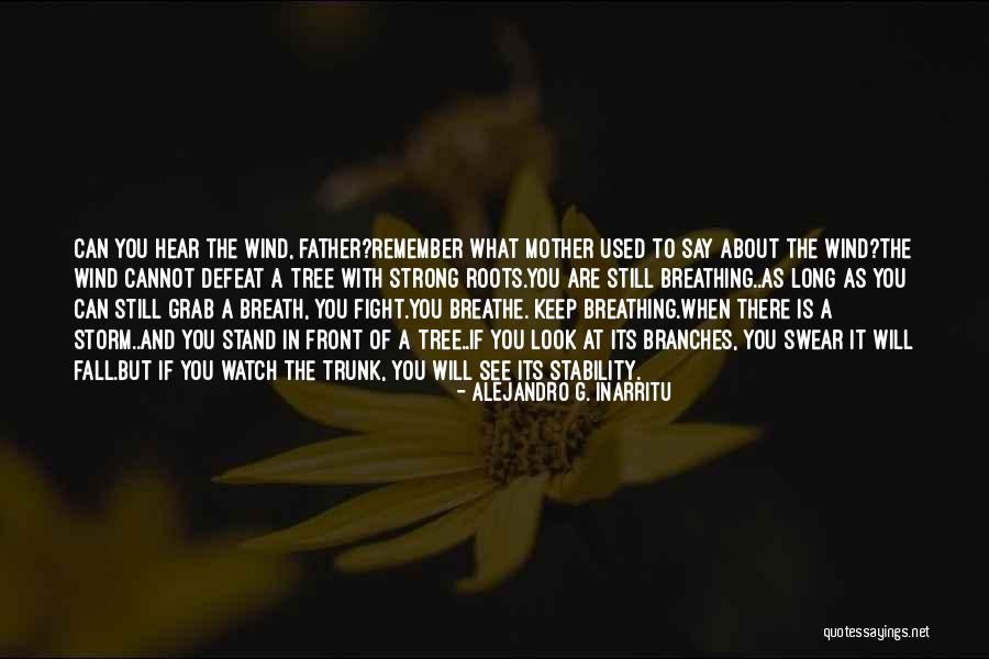 Roots Branches Quotes By Alejandro G. Inarritu Roots Branches Quotes By Alejandro G. Inarritu