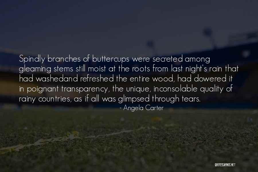 Roots Branches Quotes By Angela Carter Roots Branches Quotes By Angela Carter