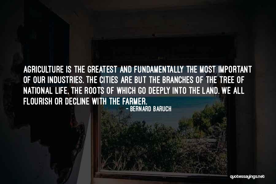 Roots Branches Quotes By Bernard Baruch Roots Branches Quotes By Bernard Baruch
