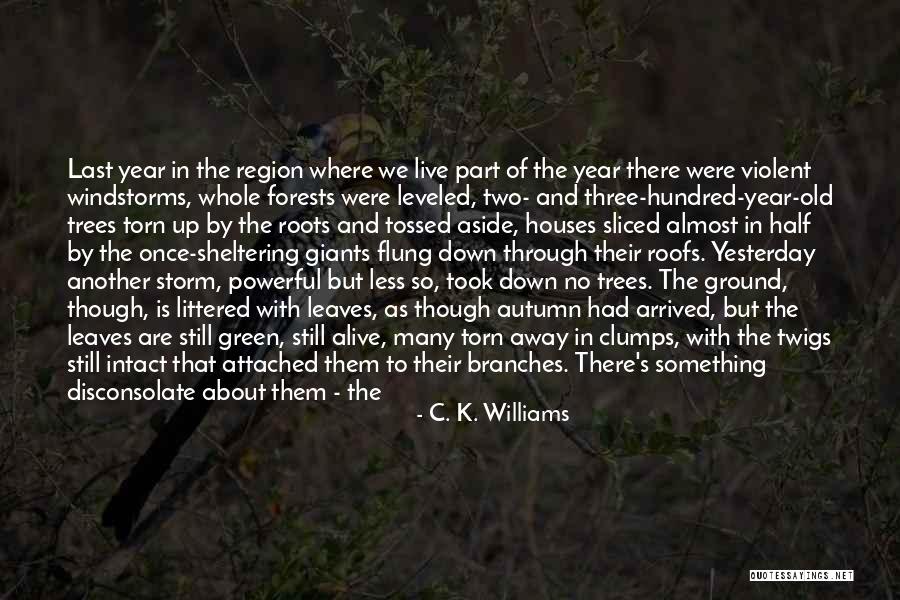 Roots Branches Quotes By C. K. Williams Roots Branches Quotes By C. K. Williams