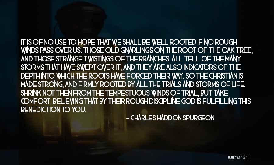 Roots Branches Quotes By Charles Haddon Spurgeon Roots Branches Quotes By Charles Haddon Spurgeon