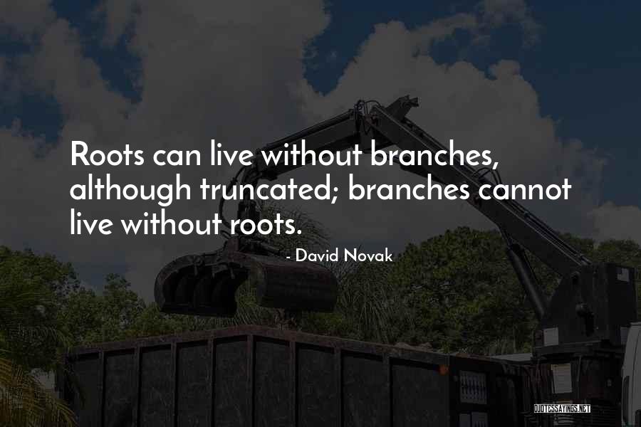 Roots Branches Quotes By David Novak Roots Branches Quotes By David Novak
