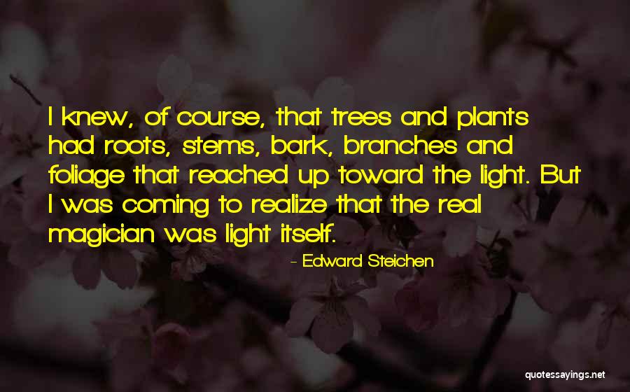 Roots Branches Quotes By Edward Steichen Roots Branches Quotes By Edward Steichen