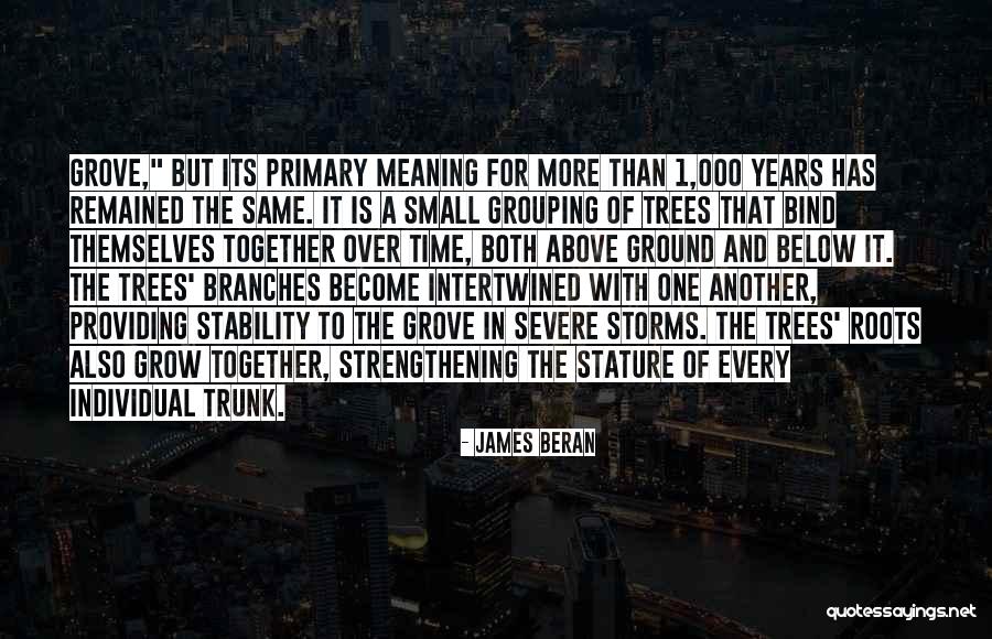 Roots Branches Quotes By James Beran Roots Branches Quotes By James Beran