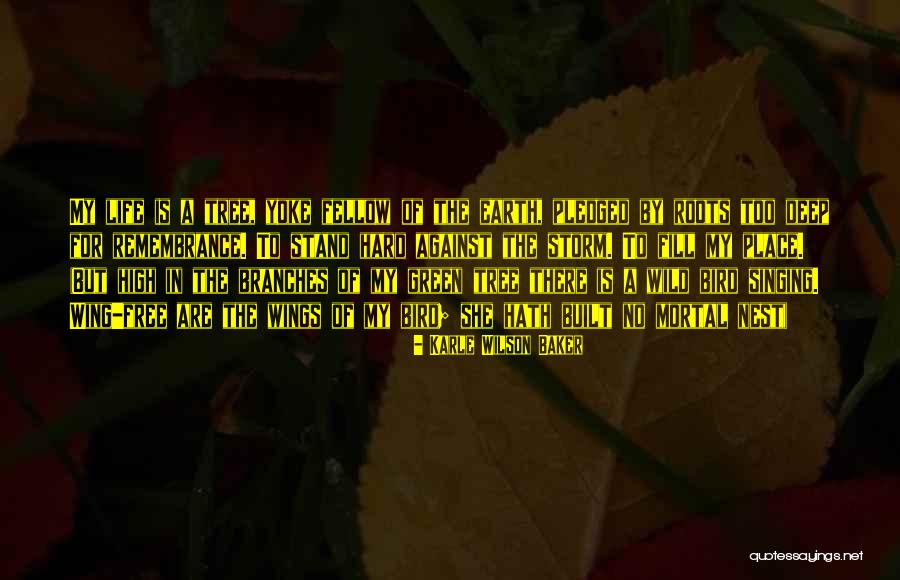 Roots Branches Quotes By Karle Wilson Baker Roots Branches Quotes By Karle Wilson Baker