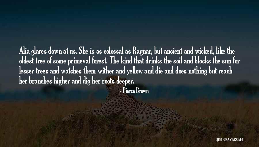 Roots Branches Quotes By Pierce Brown Roots Branches Quotes By Pierce Brown