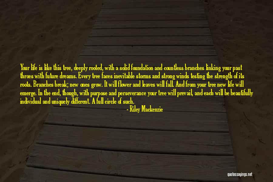 Roots Branches Quotes By Riley Mackenzie Roots Branches Quotes By Riley Mackenzie